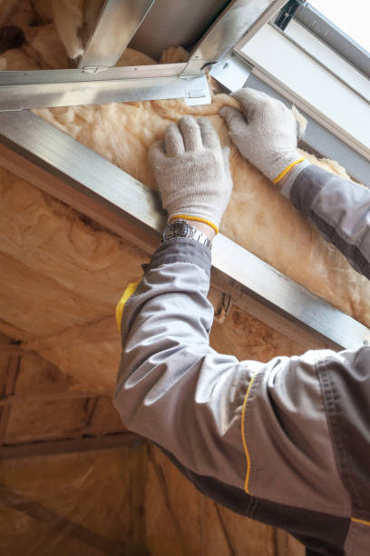 Best Geographic-Specific Insulation Services in California, MD