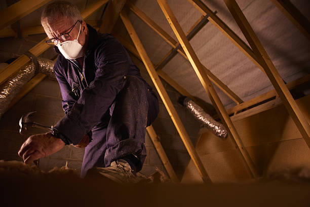 Types of Insulation We Offer in California, MD